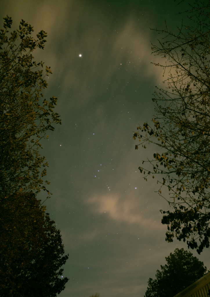 Orion from my backyard. Pointing up to a big bright Jupiter